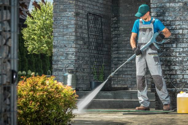 Best Window and Screen Pressure Cleaning in Bloomfield, MO