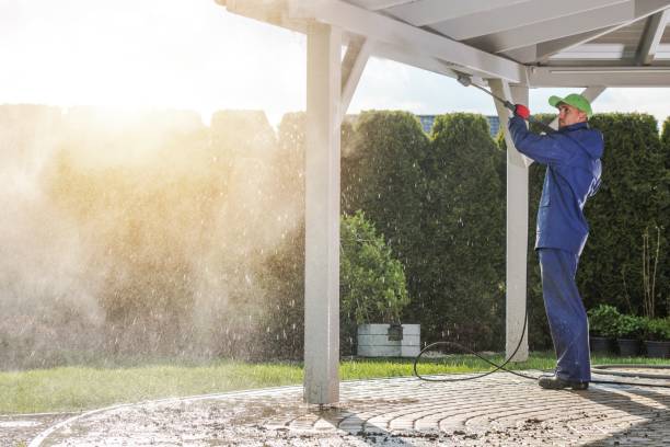 Best Roof Cleaning and Mildew Removal in Bloomfield, MO